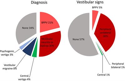 Validation of the Italian Version of the Dizziness Handicap Inventory, the Situational Vertigo Questionnaire, and the Activity-Specific Balance Confidence Scale for Peripheral and Central Vestibular Symptoms